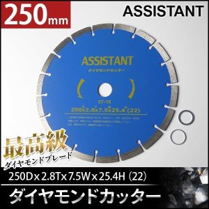 画像: 最高級ダイヤモンドカッター DC250 直径250mm×1枚 [乾式・湿式兼用] / 調整リング付き